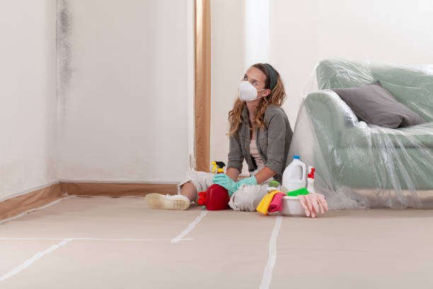 Reliable Mold Remediation contractor in Westport, WA by 24 Hour Mold Removal