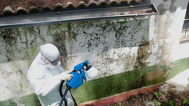 Top rated local Mold Remediation specialists in Westport, WA